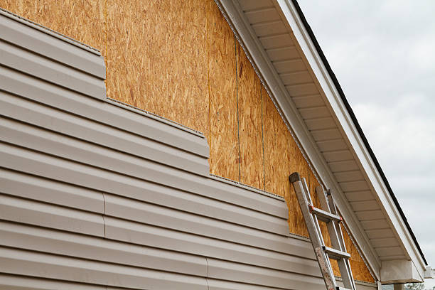 Professional Siding Inspection technician working in Saint Francis, MN